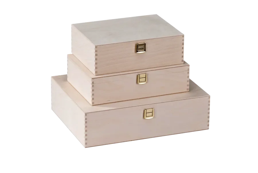 Standard gift box with hinged lid with closure from Scheffauer-Holzwaren
