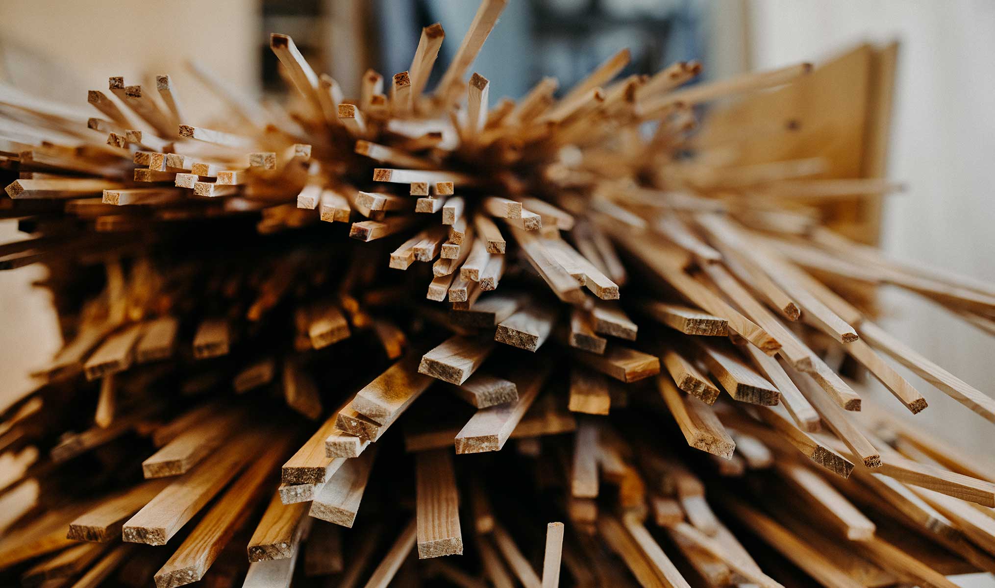 Scheffauer Holz